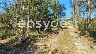 Land for sale in Cantanhede, Portugal — €50,000