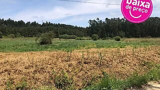 Land for sale in Alcobaça, Portugal — €25,000