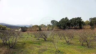 Land for sale in Fundão, Portugal — €45,000