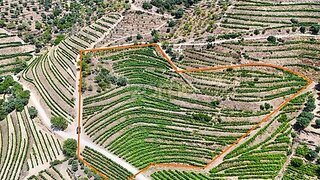 Land for sale in São João da Pesqueira, Portugal — €120,000