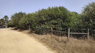 Terreno em Sines