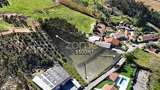 Land for sale in Anadia, Portugal — €58,200