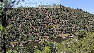 Terreno em Castelo Branco · 10 880 m² · 14 000 €