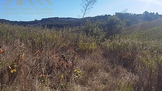 Land for sale in Bombarral, Portugal — €65,000