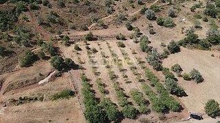 Land for sale in Silves, Portugal — €60,000