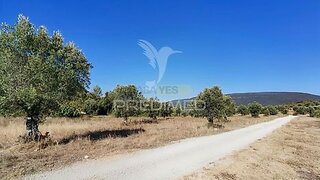 Land for sale in Torres Novas, Portugal — €28,000