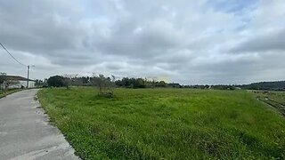 Terreno de 9800 m² em Coimbra