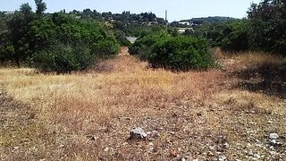Land for sale in São Brás de Alportel, Portugal — €60,000