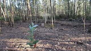 Land for sale in Penafiel, Portugal — €45,000