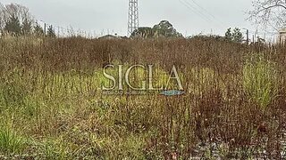 Land for sale in Vila Nova de Gaia, Portugal — €800,000