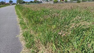 Land for sale in Ílhavo, Portugal — €85,000