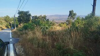 Terreno em Mangualde · 15 450 m² · 25 000 €