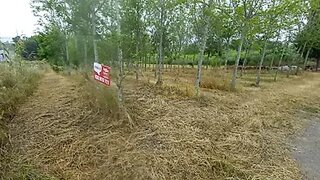 Land for sale in Anadia, Portugal — €59,000
