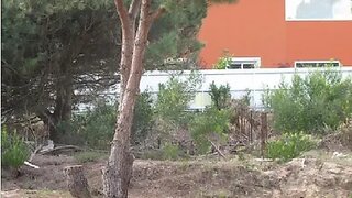 Terreno · 482 m² · 78 000 €