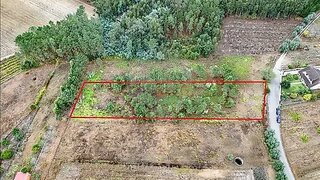 Land for sale in Anadia, Portugal — €29,000