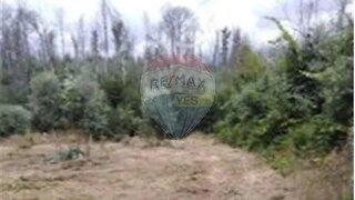 Land for sale in Tondela, Portugal — €6,900