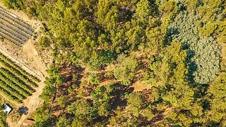 Land for sale in Marco de Canaveses, Portugal — €30,000
