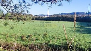 Land for sale in Caldas da Rainha, Portugal — €430,000