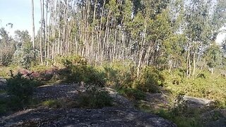Land for sale in Guimarães, Portugal — €35,000