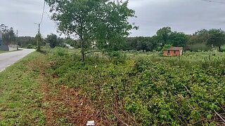 Land for sale in Albergaria-a-Velha, Portugal — €348,000