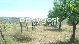 Land for sale in Vila Nova de Foz Côa, Portugal — €27,000