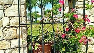 Land for sale in Rio Maior, Portugal — €45,000
