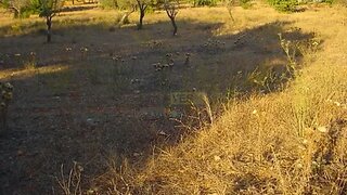 Land for sale in Olhão, Portugal — €300,000