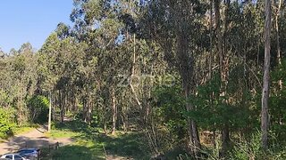 Land for sale in Vila Nova de Famalicão, Portugal — €59,000