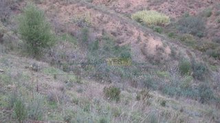 Land for sale in Castro Marim, Portugal — €19,000