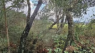 Land for sale in Valença, Portugal — €22,450