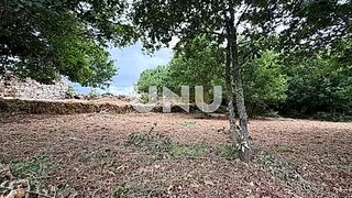 Terreno em Vouzela · 18 100 m² · 50 000 €