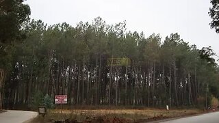 Land for sale in Oliveira do Bairro, Portugal — €100,000