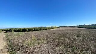 Terreno em Beja · 37 750 m² · 110 000 €