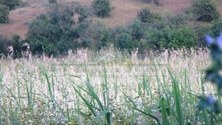 Land for sale in Castro Marim, Portugal — €17,000