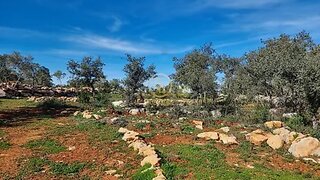Land for sale in Loulé, Portugal — €89,000