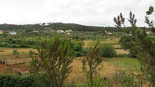 Land for sale in Penela, Portugal — €20,000