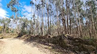 Land for sale in Arcos de Valdevez, Portugal — €17,500