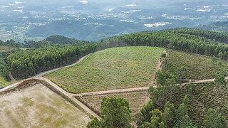 Land for sale in Celorico de Basto, Portugal — €59,900