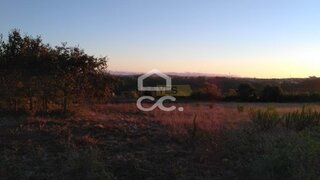 Terreno em Alcobaça · 16 708 m² · 150 000 €