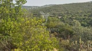 Land for sale in São Brás de Alportel, Portugal — €40,000