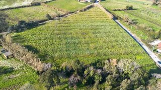 Land for sale in Alcobaça, Portugal — €165,000