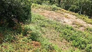 Land for sale in Terras de Bouro, Portugal — €77,500