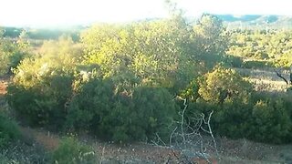 Land for sale in Olhão, Portugal — €40,000