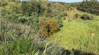 Land for sale in Castro Marim, Portugal — €35,000