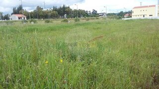 Land for sale in Cantanhede, Portugal — €65,000