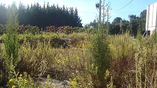 Land for sale in Águeda, Portugal — €50,000