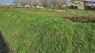 Land for sale in Espinho, Portugal — €302,500