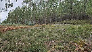 Land for sale in Sertã, Portugal — €8,500