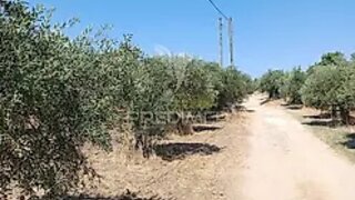 Land for sale in Campo Maior, Portugal — €33,800