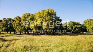 Land for sale in Palmela, Portugal — €220,000